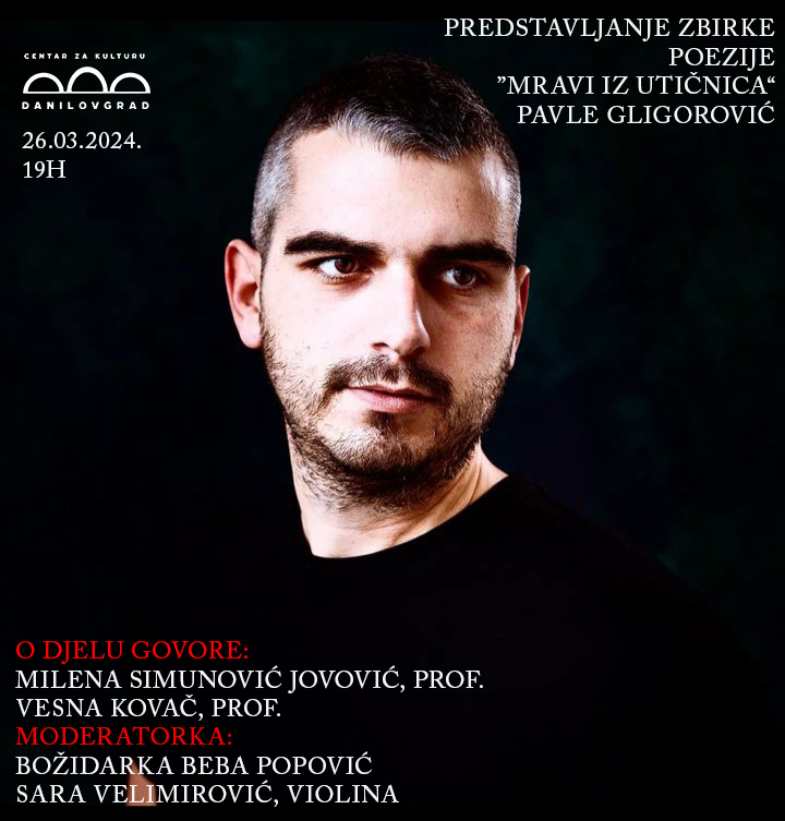 Predstavljanje zbirke poezije ,,Mravi iz utičnica“